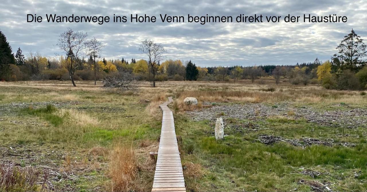 Appartement Hof Vierzehnender Im Hohen Venn - 70qm Fachwerk-studio - Grosses Wohn-schlafzimmer Mit Dachterrasse Und Kaminofen - Separate Kueche - Perfekt Fuer Paare - - Eifel - Hunde Willkommen - Islandpferde Monschau