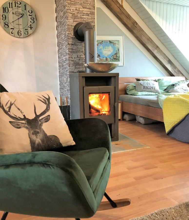 Appartement Hof Vierzehnender Im Hohen Venn - 70qm Fachwerk-studio - Grosses Wohn-schlafzimmer Mit Dachterrasse Und Kaminofen - Separate Kueche - Perfekt Fuer Paare - - Eifel - Hunde Willkommen - Islandpferde *
